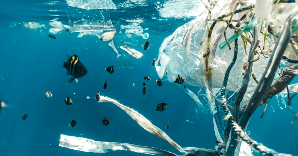 Het plastic probleem langs de Nederlandse kust.