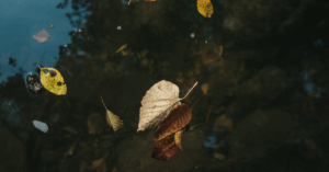 Herfst in aantocht: Maak je accommodaties winterklaar.